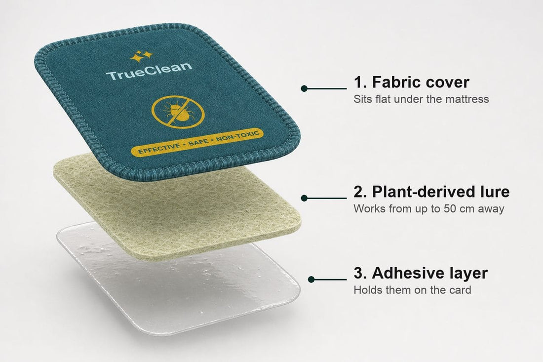 Exploded view of a Capture Card: fabric cover, plant-derived lure and adhesive layer