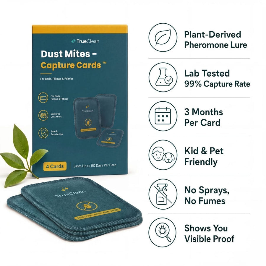 CaptureCards dust mite trap product visual 2