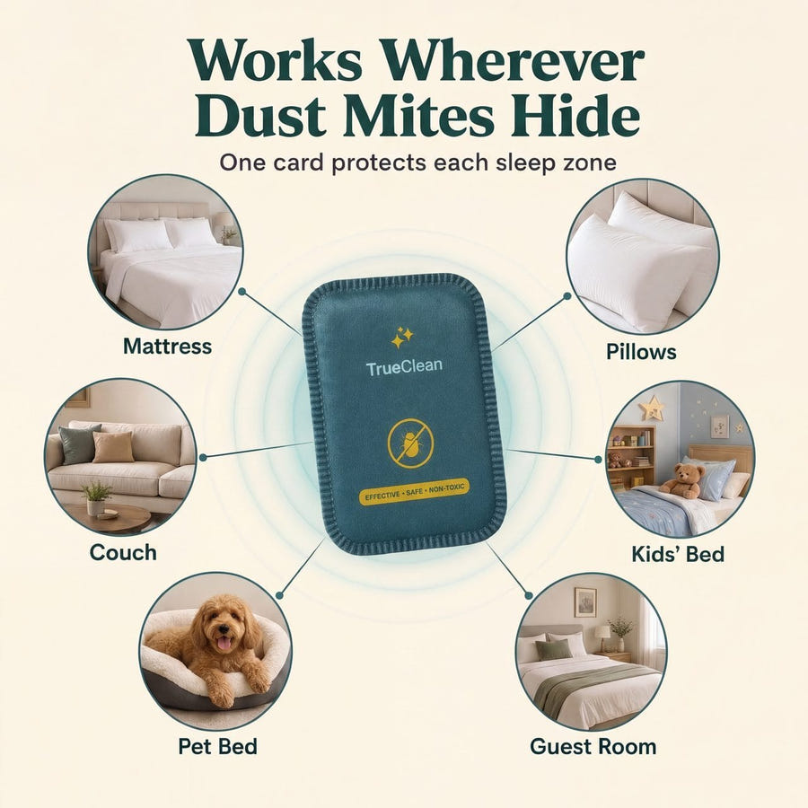 CaptureCards dust mite trap product visual 5