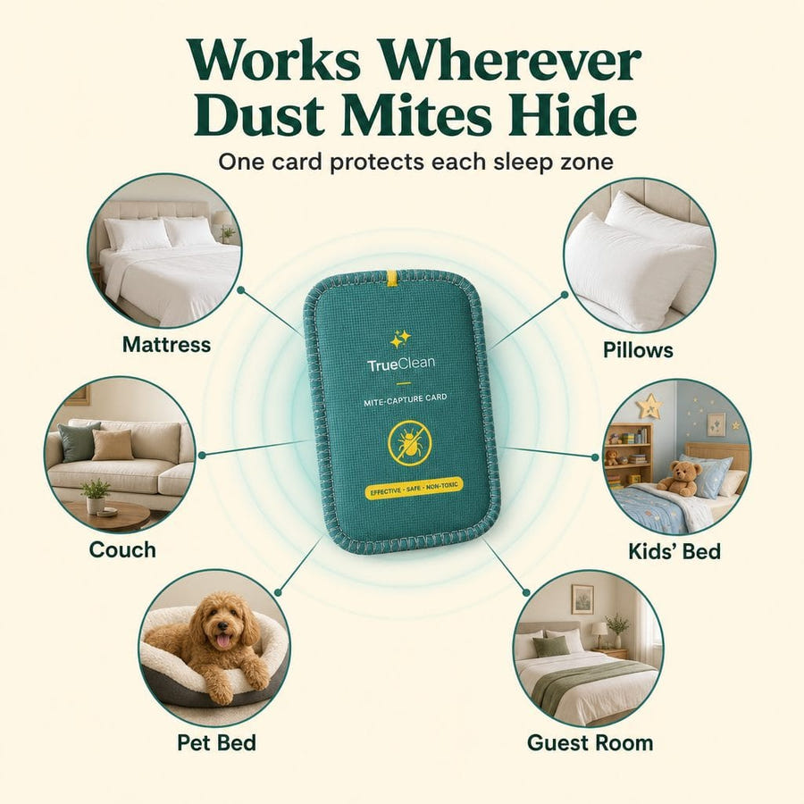 CaptureCards dust mite trap product visual 5