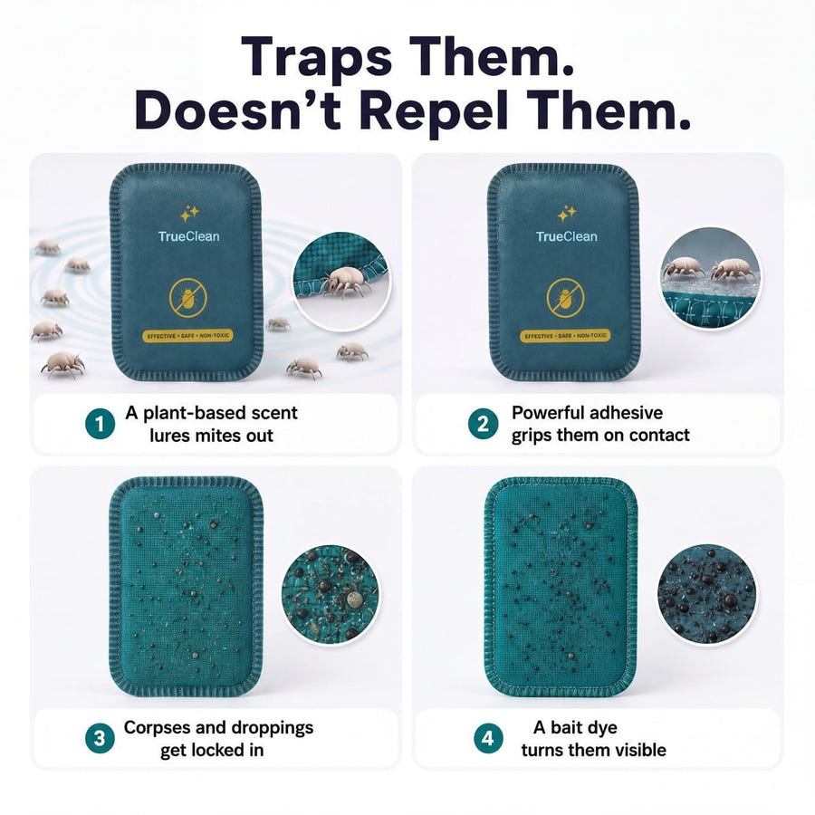 CaptureCards dust mite trap product visual 4