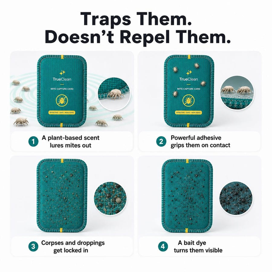 CaptureCards trap mechanism step by step