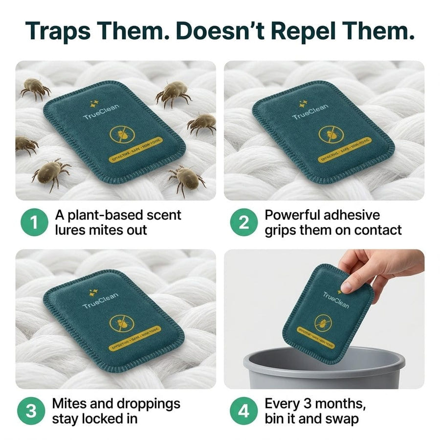 CaptureCards dust mite trap product visual