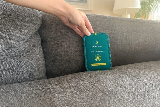 Used them all over the house