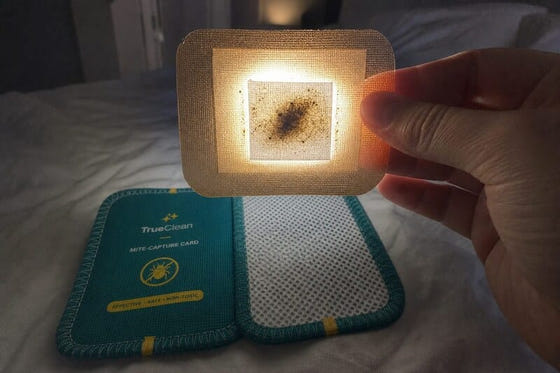 I could actually see it working