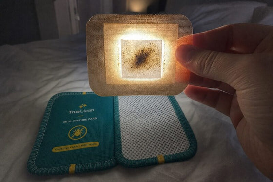 I could actually see it working