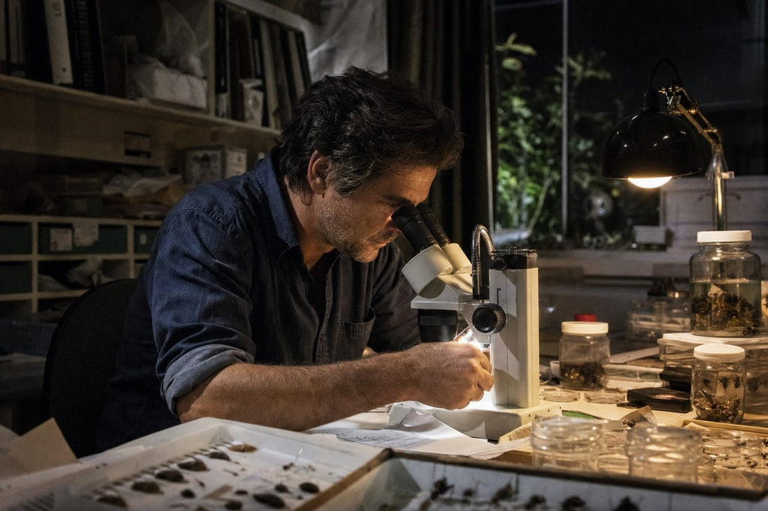 Entomologist dad researching late at night