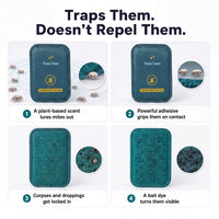 CaptureCards dust mite trap product visual 4