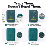 CaptureCards trap mechanism step by step