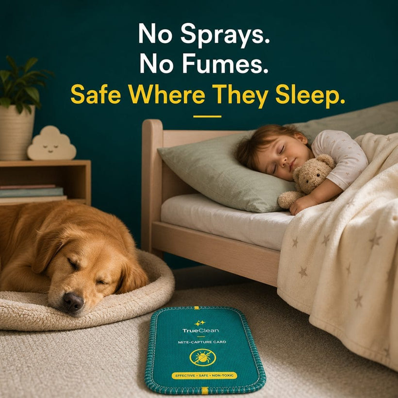Safe around children and pets