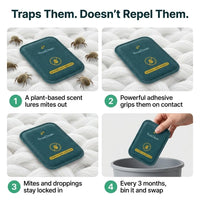 CaptureCards dust mite trap product visual