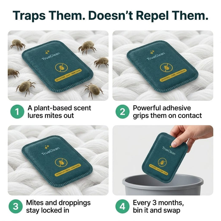 CaptureCards trap mechanism steps