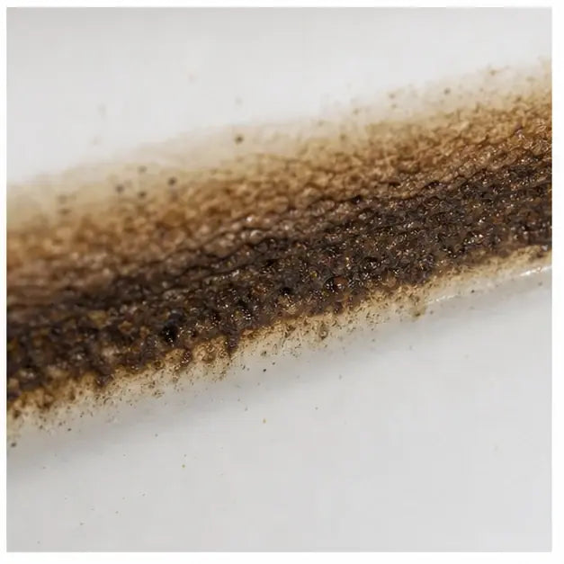 thumbnail — extreme close-up of a brown/black waterline ring on white porcelain. Real, not staged.