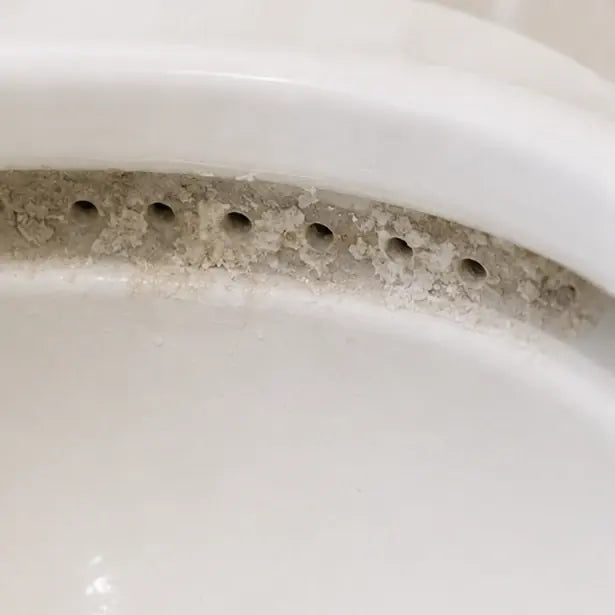 BEFORE photo — close-up under the rim of a toilet bowl showing crusty white/gray mineral buildup blocking rinse holes.