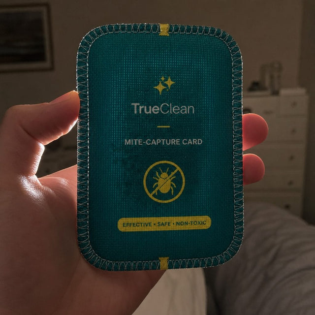The CaptureCards flashlight check
